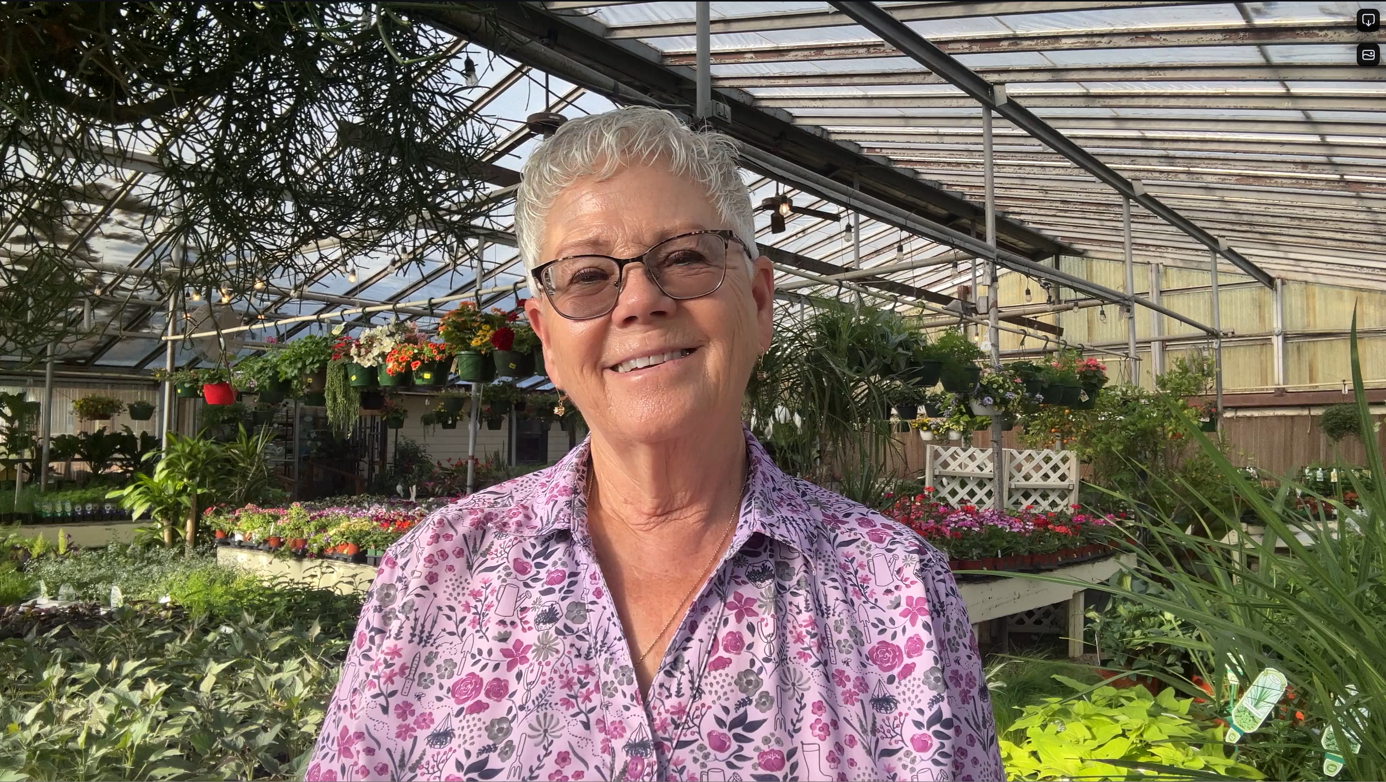 Terri Johansen